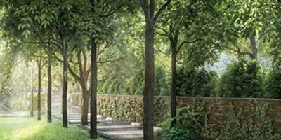 Meditation / Yoga Deck