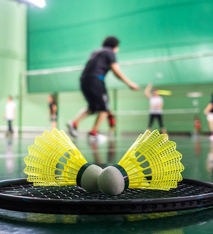 Badminton Court