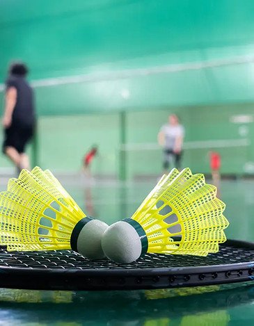 Badminton Court
