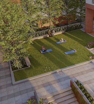 Yoga Lawn