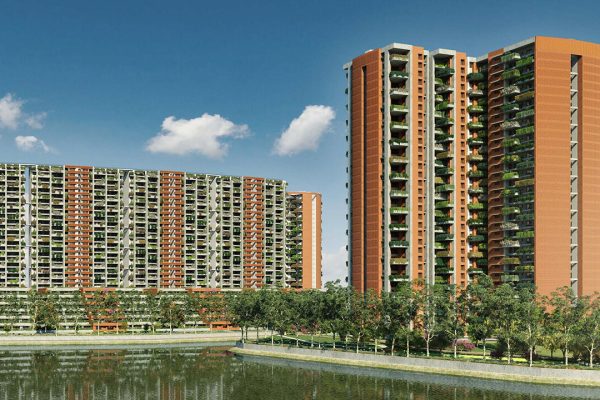 Pursuit of a Radical Rhapsody thumb