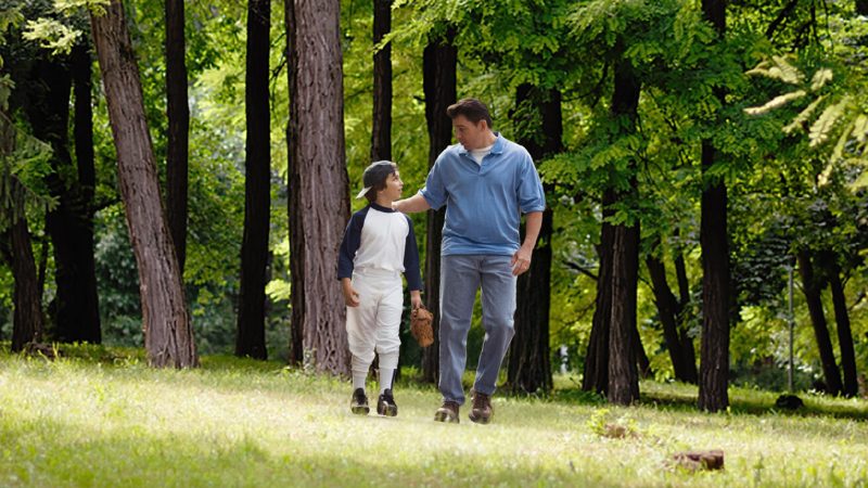 Lush Green Landscape