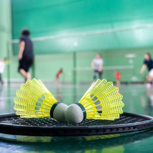badminton-and-indoor-game_1