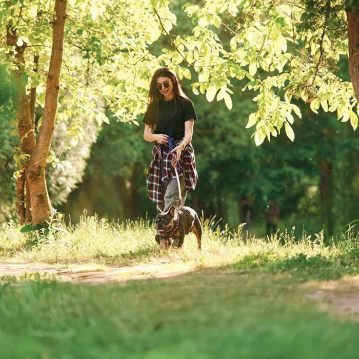 Pet Park