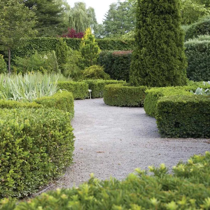 Hedge Garden