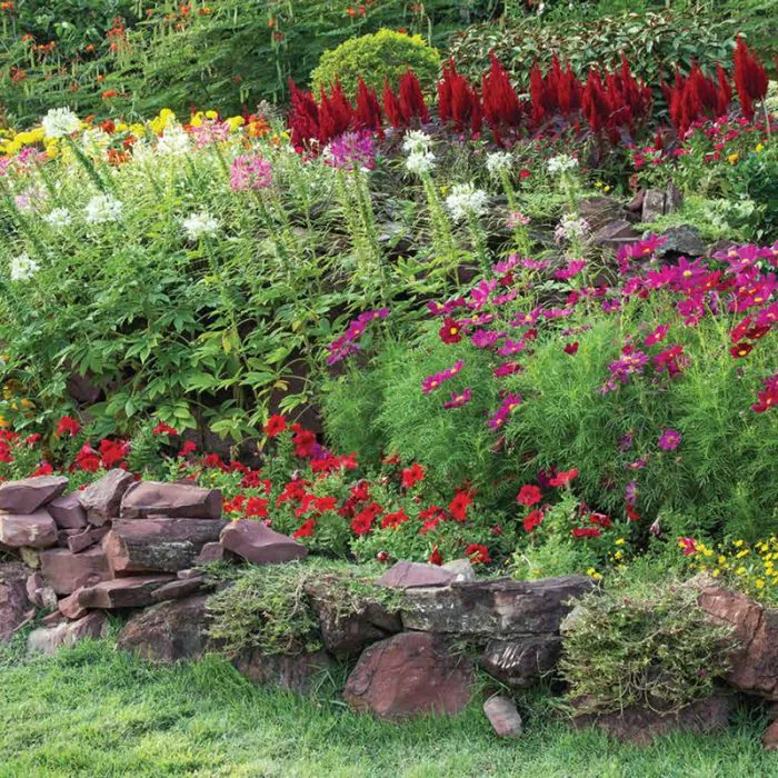 Floral Sanctuary
