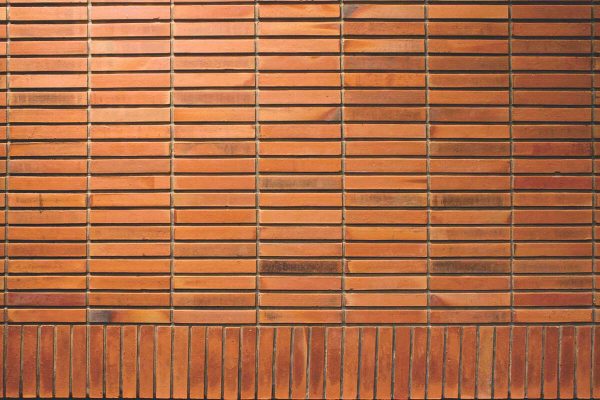 in-that-quiet-earth--img-02