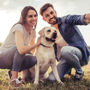pets_park