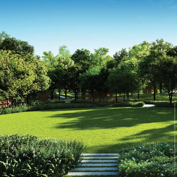 MULTI-PURPOSE PLAY FIELDS