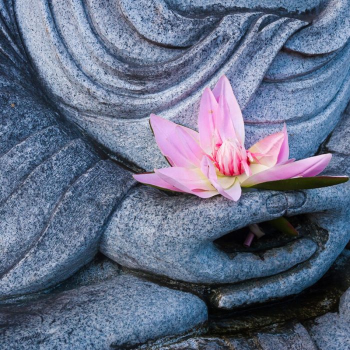 Lush Sculpture Court