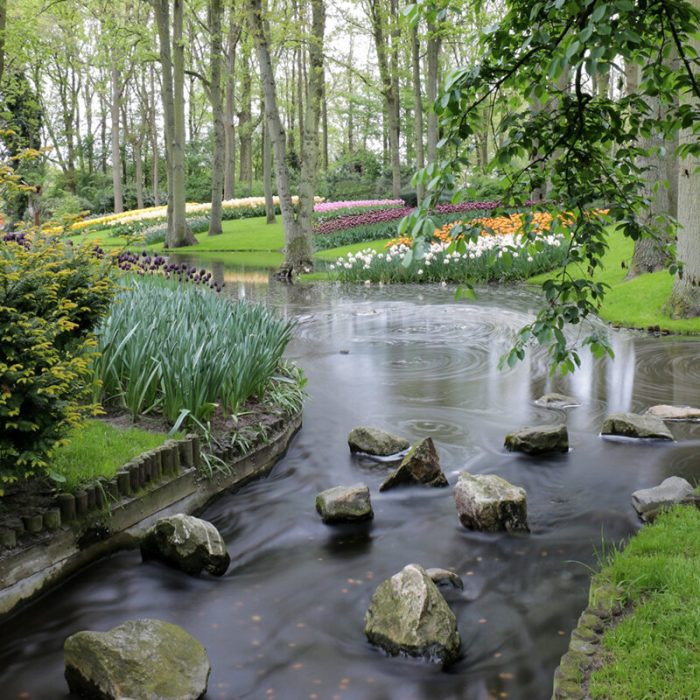 Reflective Water Haven